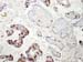 Figure_14d