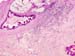 Figure_16b