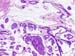Figure__5a