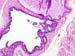 Figure__6b