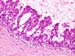 Figure__7a